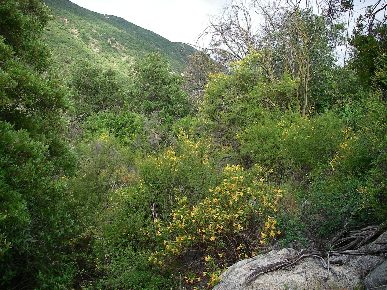 imgp2179.jpg