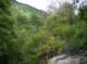 imgp2179_small.jpg