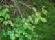 imgp2180_small.jpg