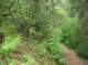 imgp2182_small.jpg