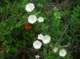imgp2183_small.jpg