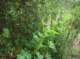 imgp2185_small.jpg