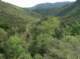 imgp2187_small.jpg