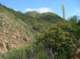 imgp2194_small.jpg