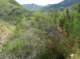 imgp2195_small.jpg