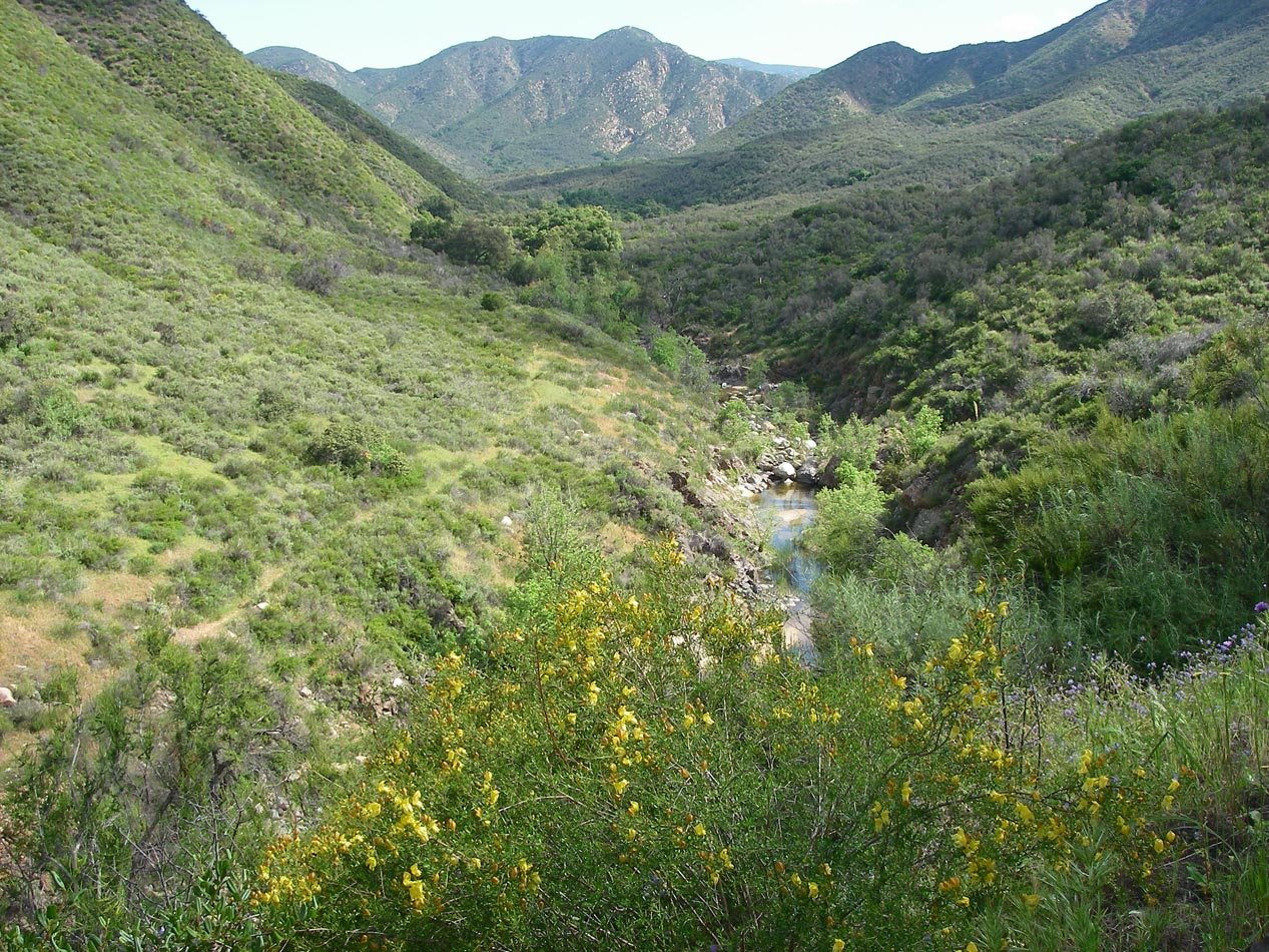 imgp2196.jpg