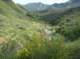 imgp2196_small.jpg