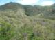 imgp2197_small.jpg