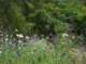 imgp2204_small.jpg