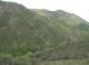 imgp2205_small.jpg