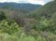 imgp2206_small.jpg