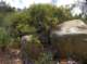 imgp2209_small.jpg
