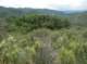 imgp2210_small.jpg