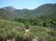 imgp2211_small.jpg