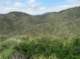 imgp2214_small.jpg