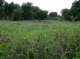 imgp2218_small.jpg