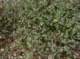 imgp2219_small.jpg
