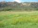 imgp2220_small.jpg