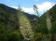 imgp2279_small.jpg