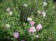 imgp2280_small.jpg
