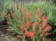 imgp2281_small.jpg