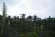 imgp2282_small.jpg