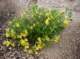 imgp2283_small.jpg