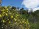 imgp2284_small.jpg