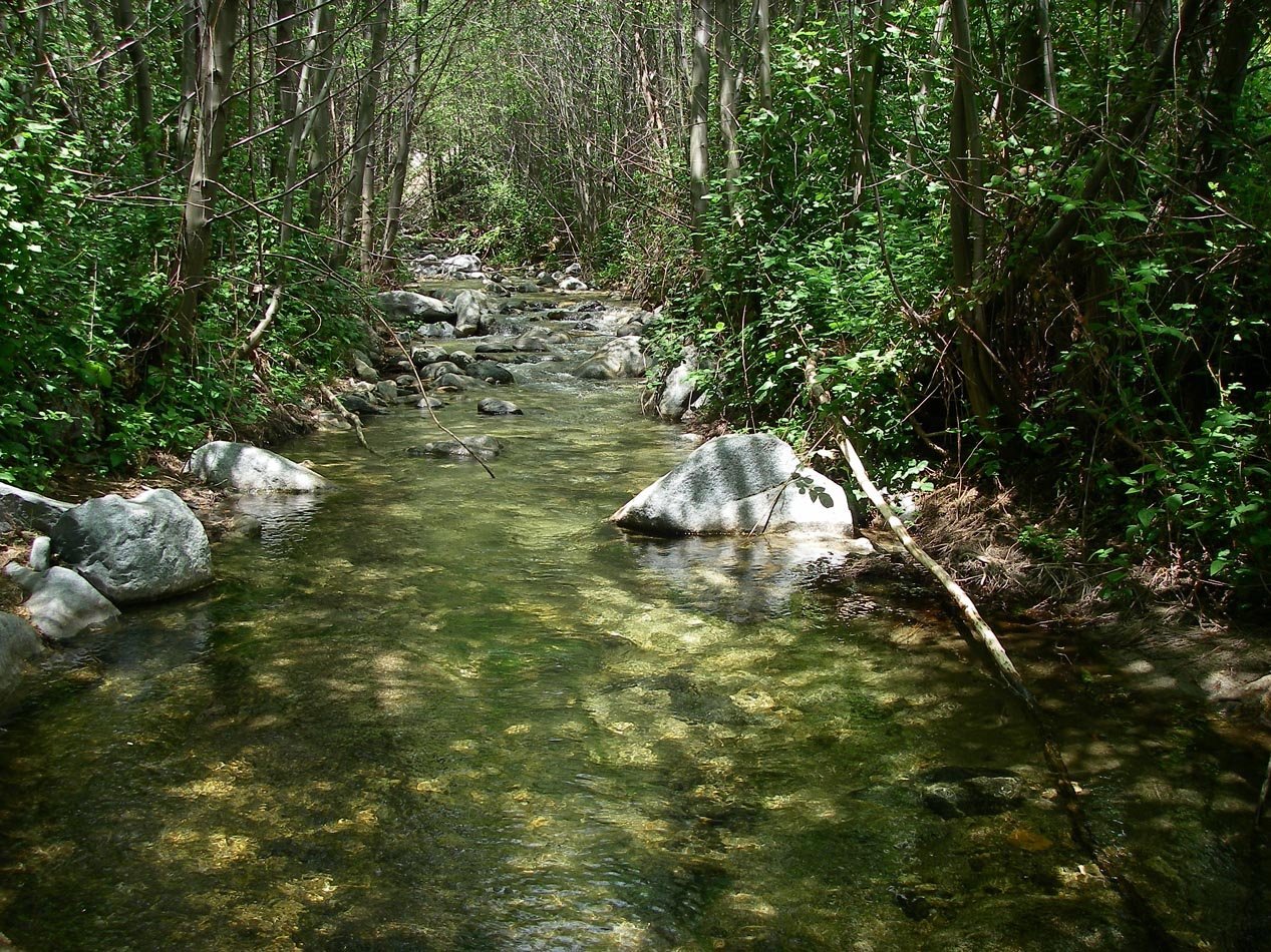 imgp2286.jpg