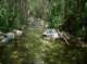 imgp2286_small.jpg