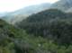 imgp2292_small.jpg