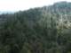 imgp2293_small.jpg
