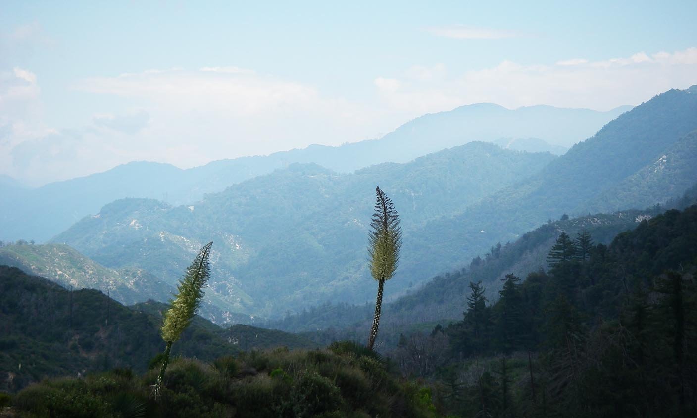 Hiked Gabrielino Trail to West Fork Camp 5/11/2019