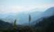 imgp2295_small.jpg