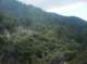 imgp2297_small.jpg