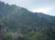 imgp2298_small.jpg
