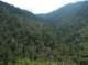 imgp2300_small.jpg