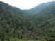 imgp2301_small.jpg