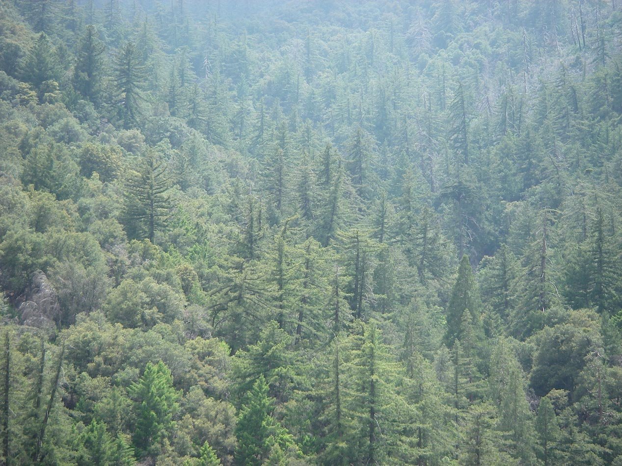 imgp2302.jpg