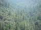 imgp2302_small.jpg