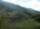 imgp2303_small.jpg