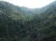 imgp2306_small.jpg