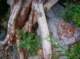 imgp1013_small.jpg