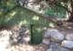 imgp1017_small.jpg