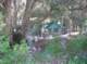 imgp1019_small.jpg