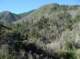 imgp1021_small.jpg