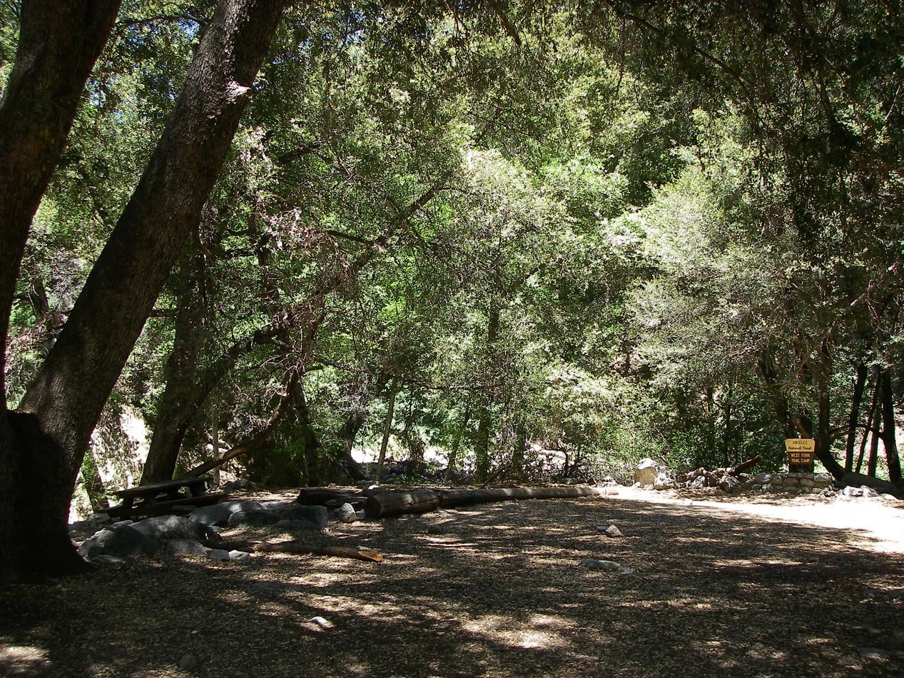 Hiked to West Fork but there were no native trout in the creek 6/27/2017