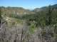 imgp1025_small.jpg