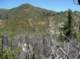 imgp1026_small.jpg