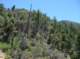 imgp1032_small.jpg